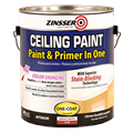 Ceiling Paint