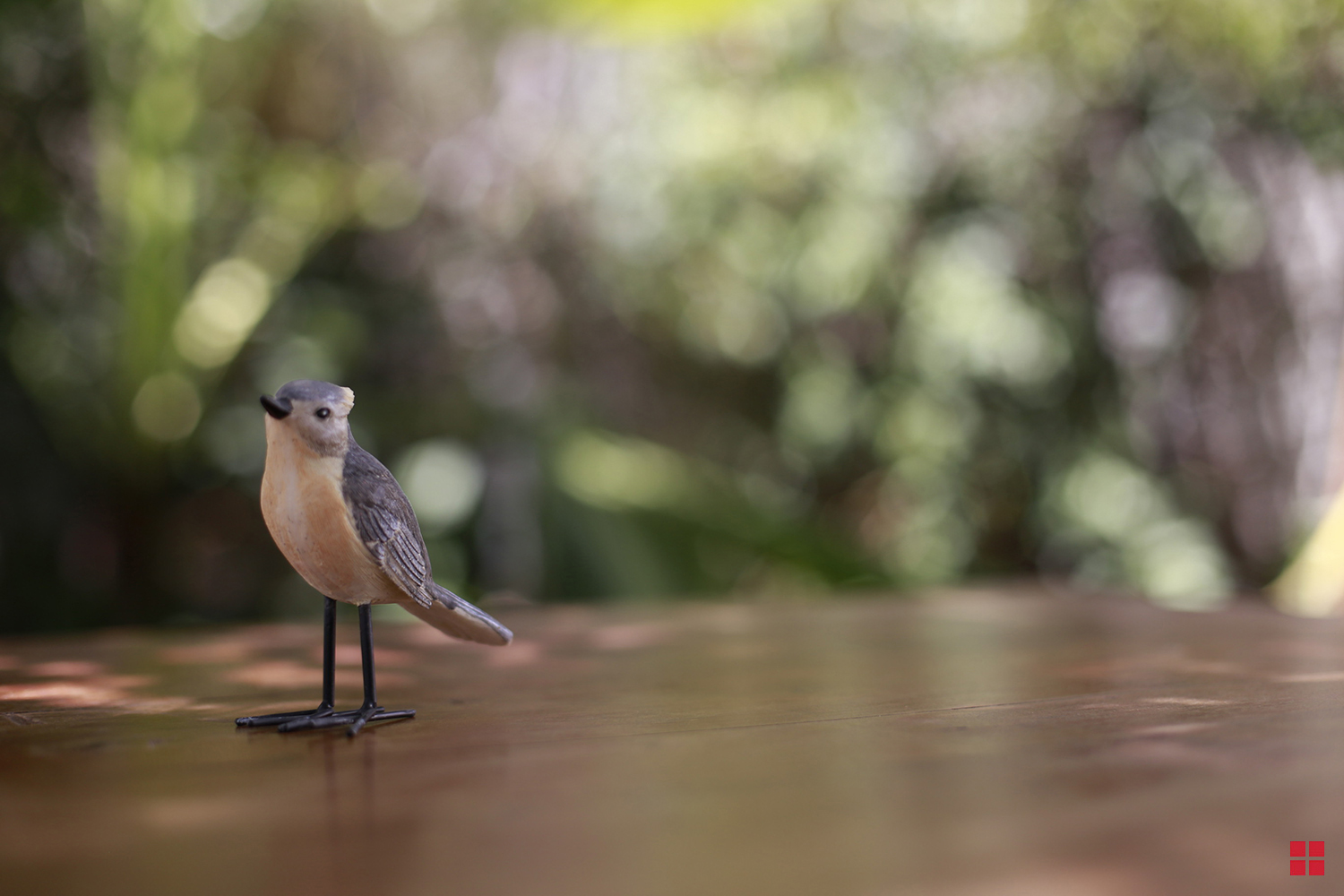 Bird Before
