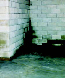 Brick Wall 3
