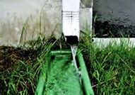 Gutter drain